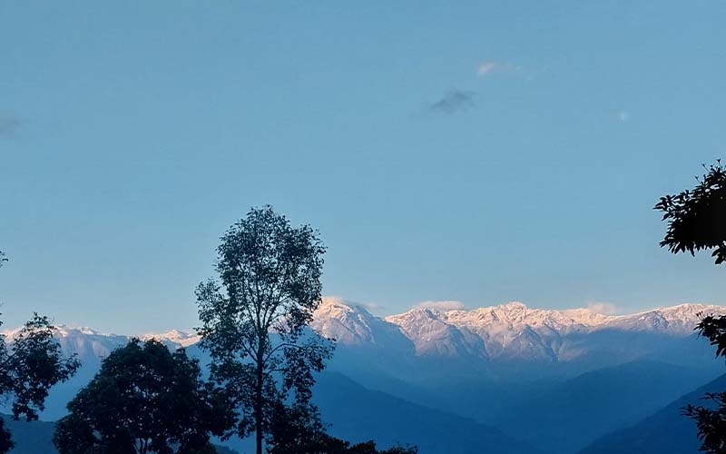 Jaldhaka Manulang Homestay Images