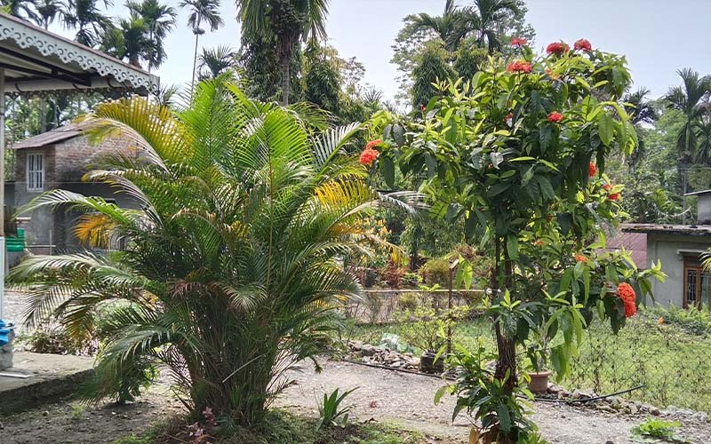 Jaldhaka Manulang Homestay Images