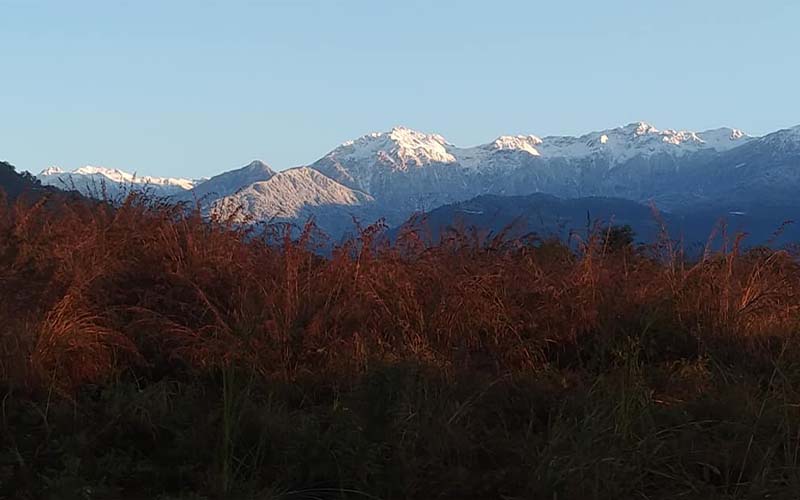 Jaldhaka Manulang Homestay Images