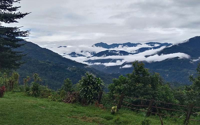 Jaldhaka Manulang Homestay Images