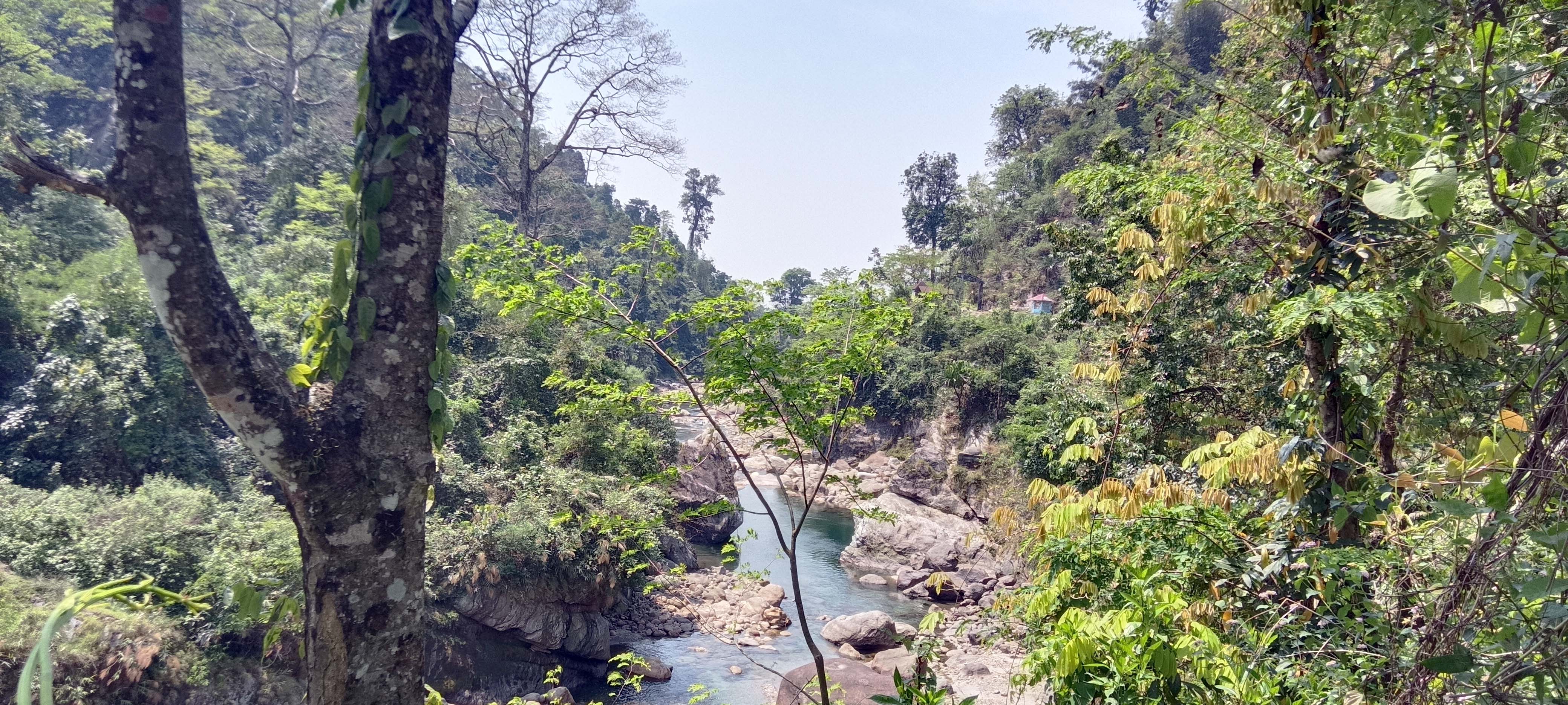 Jaldhaka Manulang Homestay